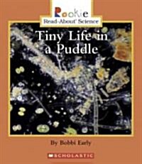 Tiny Life in a Puddle (Paperback)