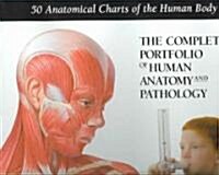 The Complete Portfolio of Human Anatomy and Pathology: 50 Anatomical Charts of the Human Body (Other)