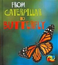 From Caterpillar to Butterfly (Library)