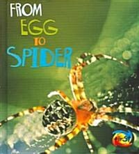 From Egg to Spider (Library Binding)