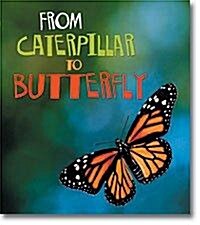 From Caterpillar to Butterfly (Paperback)