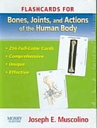 Bones, Joints And Actions of the Human Body (Cards, FLC)