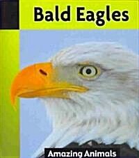 Bald Eagles (Paperback)