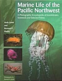 Marine Life of the Pacific Northwest: A Photographic Encyclopedia of Invertebrates, Seaweeds and Selected Fishes (Hardcover)