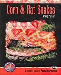 Corn & Rat Snakes (Paperback)