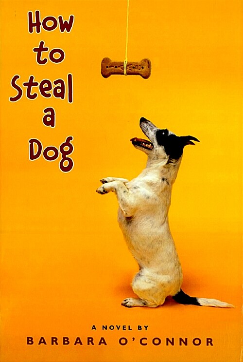 How to Steal a Dog (Hardcover)