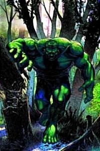 Incredible Hulk (Paperback)