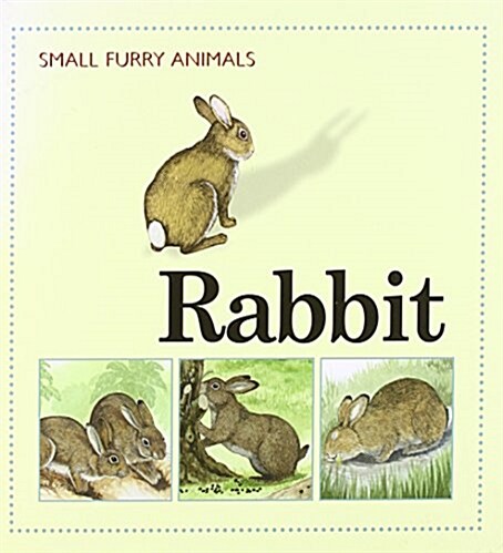 Rabbit (Hardcover)