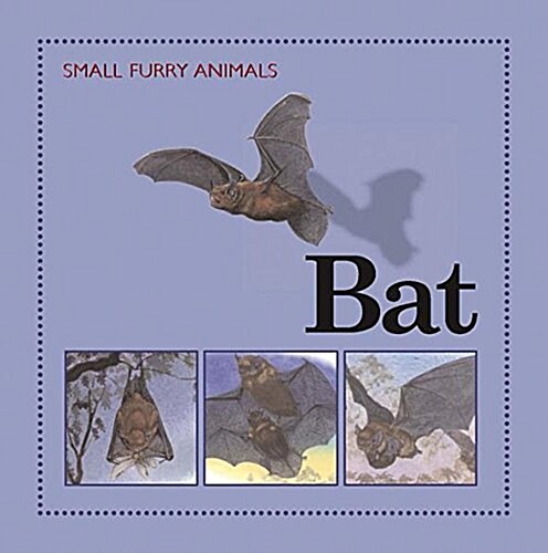 Bat (Hardcover)