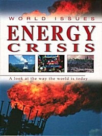 Energy Crisis (Paperback)