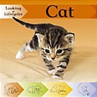 Cat (Hardcover)