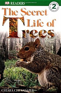 [중고] Secret Life of a Tree (Paperback)