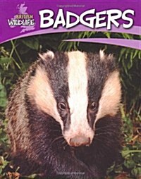 British Wildlife: Badgers (Paperback)