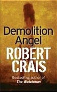Demolition Angel (Paperback)