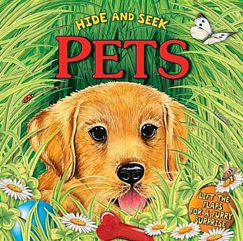 Hide and Seek: Pets (Hardcover)