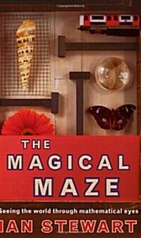 Science Masters: The Magical Maze (Paperback)