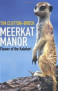 Meerkat Manor (Paperback)