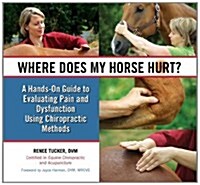 Where Does My Horse Hurt? : A Hands-On Guide to Evaluating Pain and Dysfunction Using Chiropratic Methods (Hardcover)