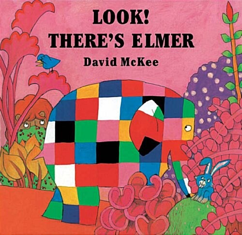 Look! Theres Elmer (Hardcover)