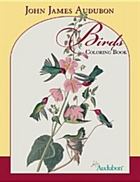 John James Audubon Birds Color (Paperback)