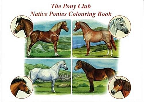 The Pony Club Native Ponies Colouring Book (Paperback)