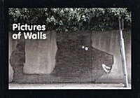 Pictures of Walls (Paperback)