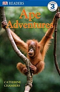 [중고] Ape Adventures (Paperback)