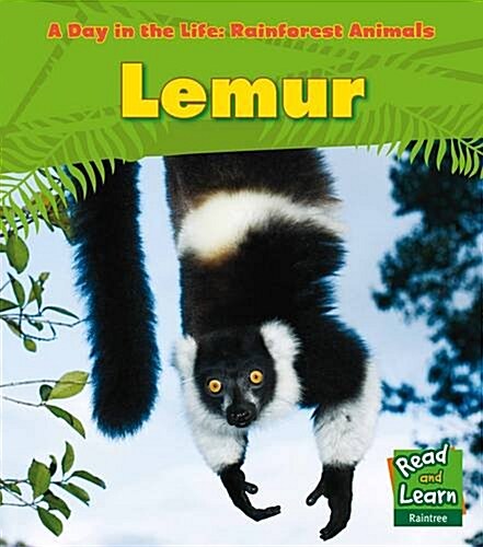 Rainforest Animals: Lemur (Paperback)