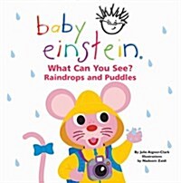 What Can You See?  Raindrops and Puddles (Hardcover)