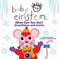 What Can You See?  Snowflakes and Icicles (Hardcover)