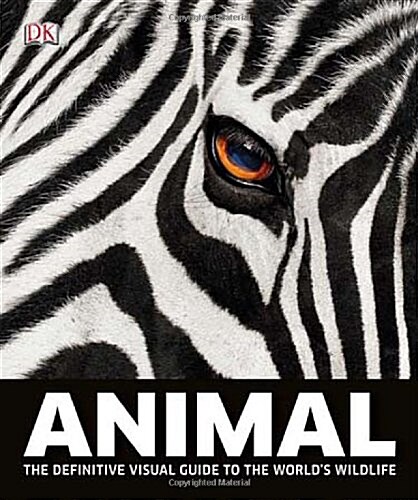 [중고] Animal (Hardcover)