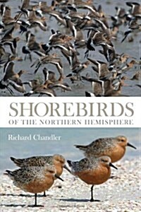 Shorebirds of the Northern Hemisphere (Paperback)