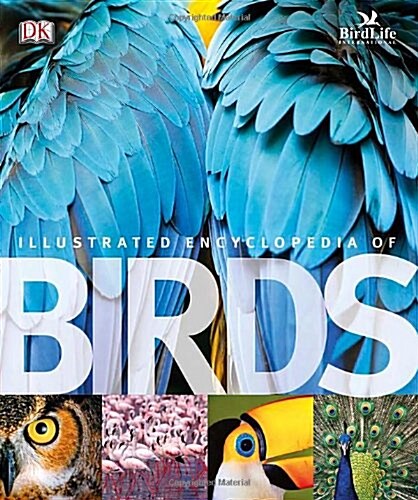 [중고] The Illustrated Encyclopedia of Birds (Hardcover)