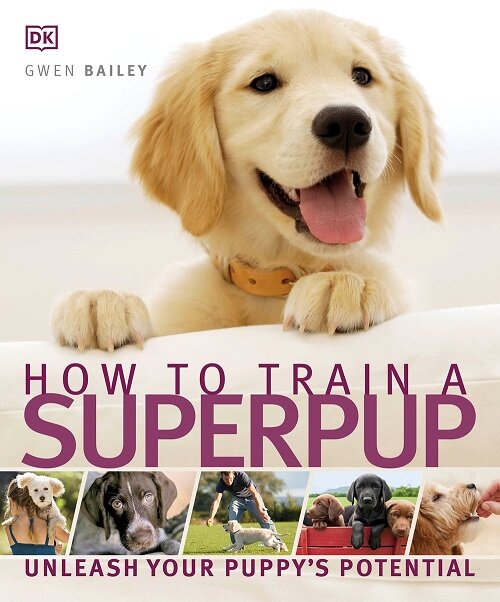 How to Train a Superpup : Unleash Your Puppys Potential (Paperback)