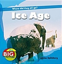 Ice Age (Hardcover)