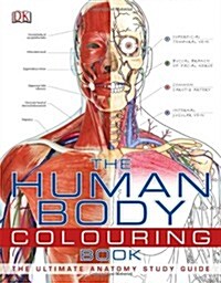 Human Body Colouring Book (Paperback)