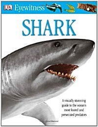 Shark (Paperback)