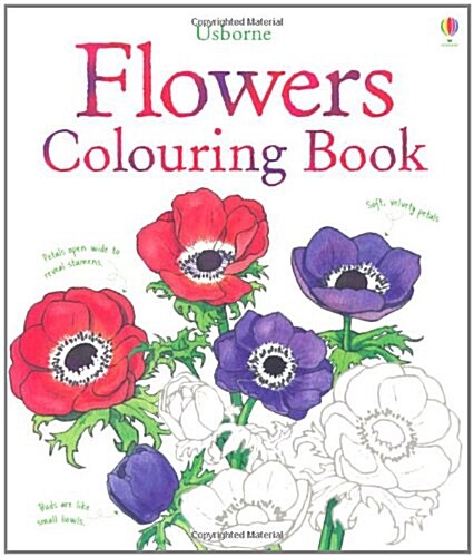 Flowers Colouring Book (Paperback)