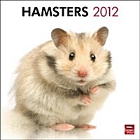Hamsters 2012 Calendar (Paperback, Wall)