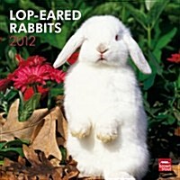 Lop-Eared Rabbits 2012 Calendar (Paperback, Wall)