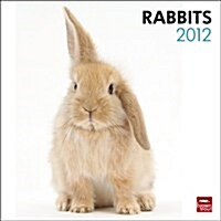 Rabbits 2012 Calendar (Paperback, Wall)