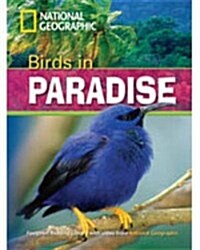 Birds in Paradise (Paperback)