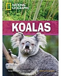 Koalas (Paperback)