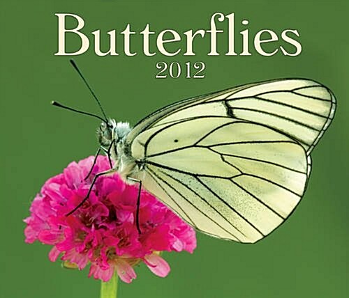 Butterflies 2012 Calendar