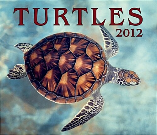 Turtles 2012 Calendar