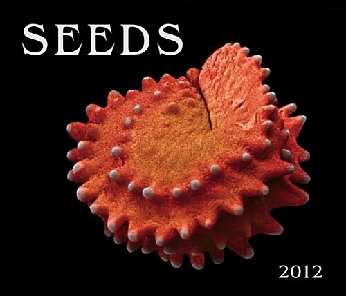 Seeds 2012 Calendar