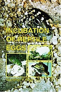 Incubation of Reptile Eggs (Hardcover)