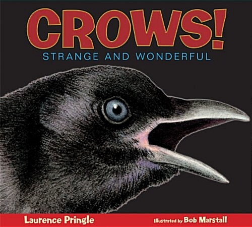 Crows!: Strange and Wonderful (Paperback)