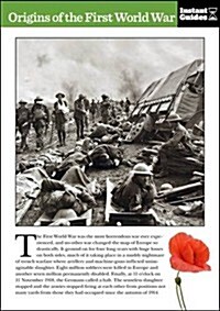 Origins of the First World War : The Instant Guide (Paperback)