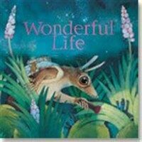 Wonderful Life (Paperback)